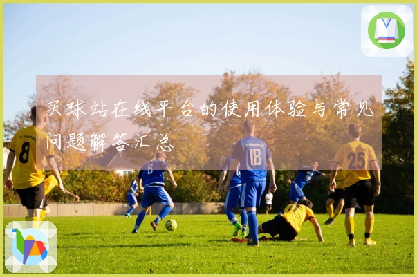买球站在线平台的使用体验与常见问题解答汇总