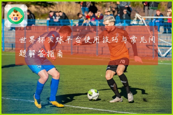 世界杯买球平台使用技巧与常见问题解答指南