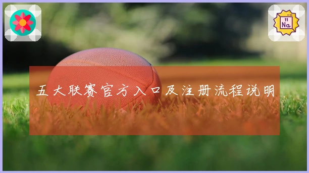 五大联赛官方入口及注册流程说明
