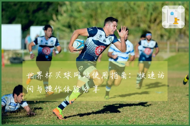 世界杯买球网站使用指南：快速访问与操作体验分享