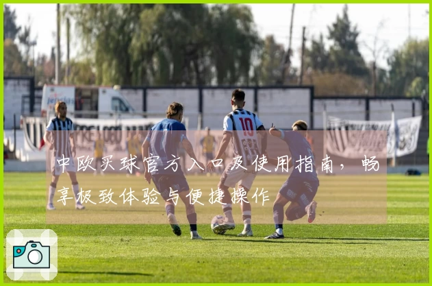 中欧买球官方入口及使用指南，畅享极致体验与便捷操作