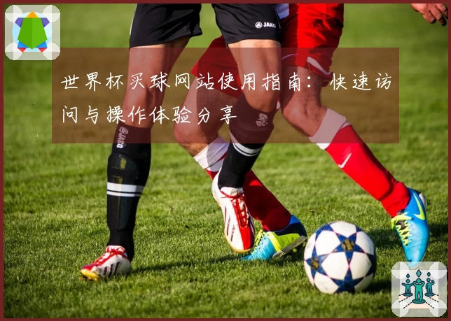 世界杯买球网站使用指南：快速访问与操作体验分享