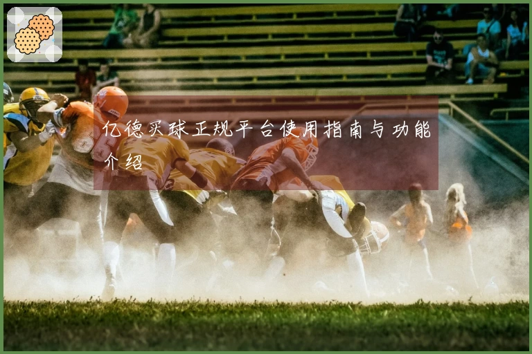 亿德买球正规平台使用指南与功能介绍
